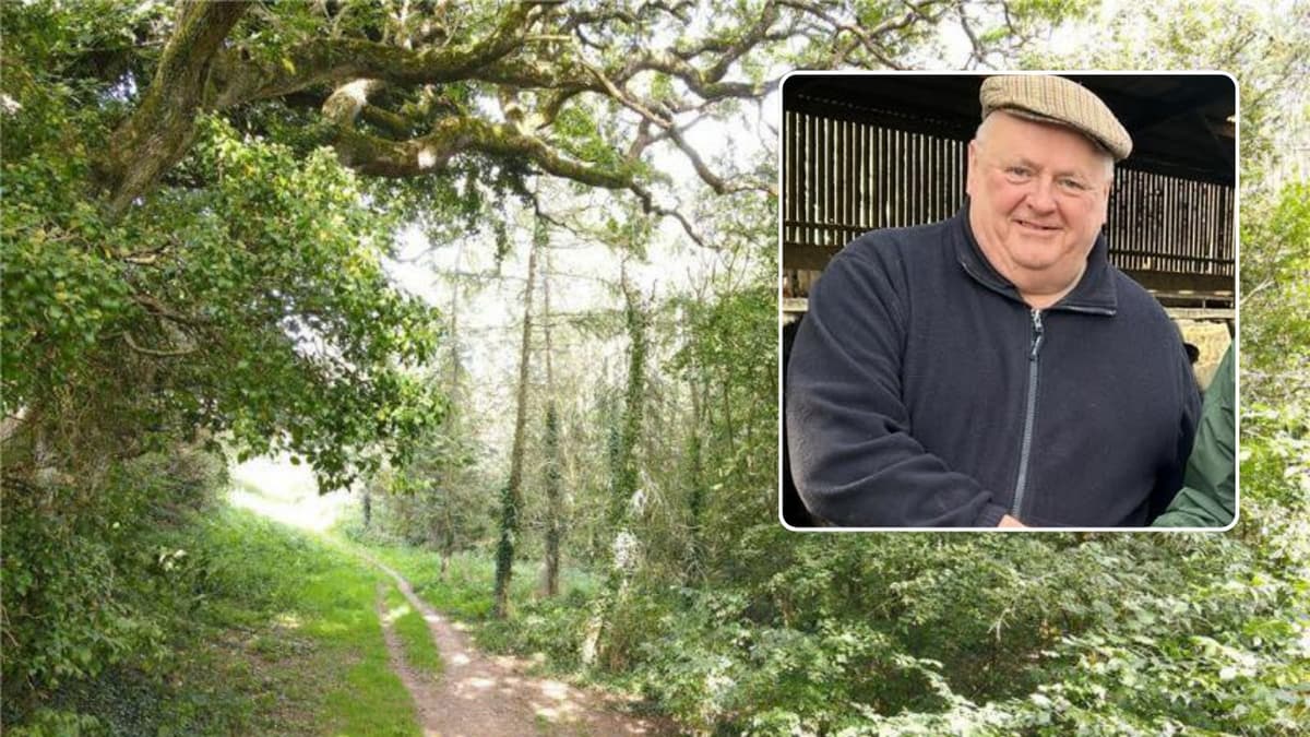 Councillor calls for resignations over Hele Valley Trail controversy