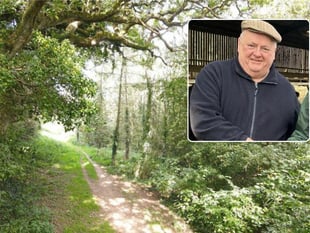 Council called ‘not fit for purpose’ by own member