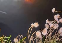 Mystery lights at Harlyn Bay prompt coastguard response