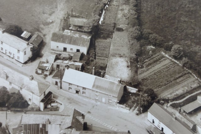 Looking Back: Take a trip down memory lane thanks to our archives