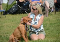 Show draws larger crowds and entries