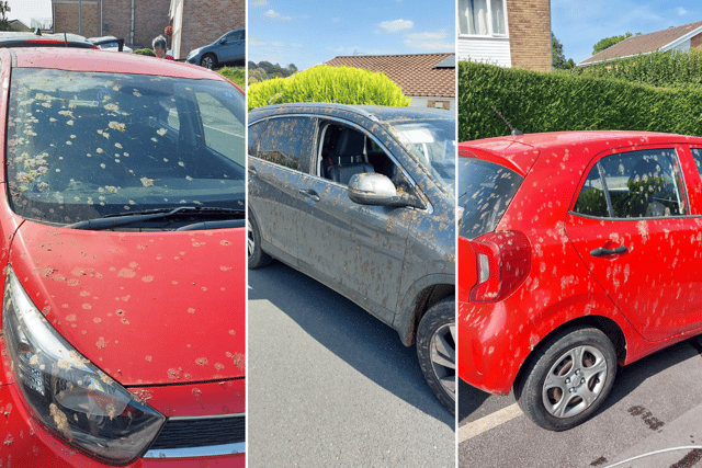 What's that smell? Truck sprays cars with unknown substance