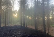 Wildfire risk: Forestry England warns visitors to Cardinham Woods