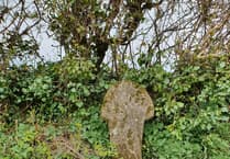 Henwyn tyller/Place names - Park an Growes