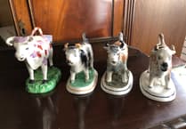 Chance to pick up a didgeridoo at probate estate sale