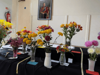 Community news from across North Cornwall and Torridge