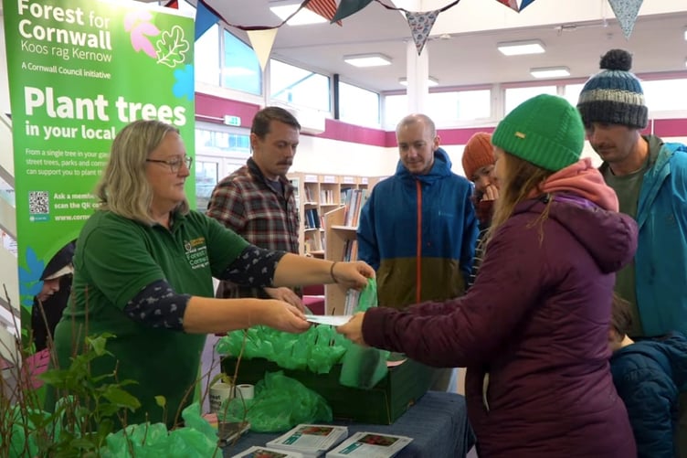 The Cornwall Council Back Garden Forest giveaway offers a free sapling to encourage people to plant trees contributing to a greener environment.