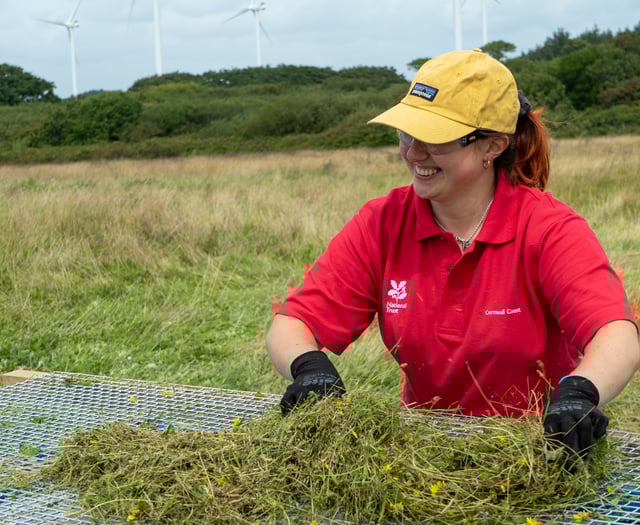 Cornwall leads the way in largest meadow restoration project 