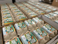 Cornish family business transforming egg industry with tech investment