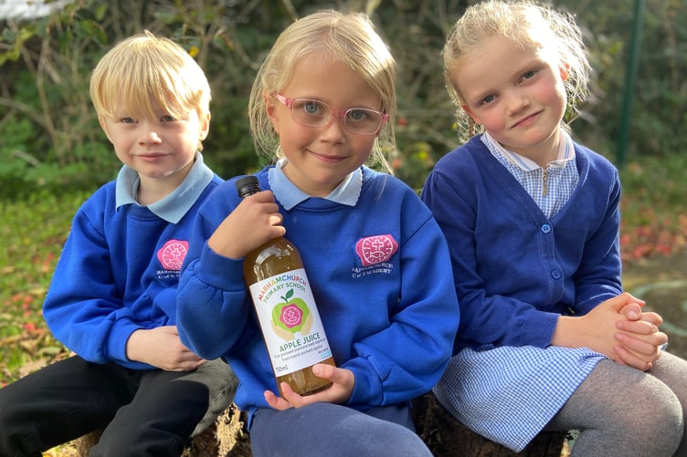 Marhamchurch School Apple Juice