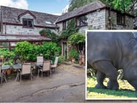 Rhino zoo plans gain local support