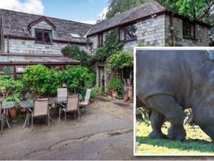 Rhino zoo in Launceston approved