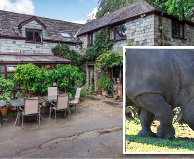 Rhino zoo plans gain local support