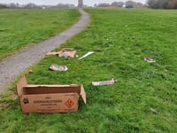 Council's plea to Bonfire night Beacon litterbugs