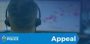 Woman dies after collision