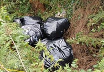 Hidden fly-tipping camera catches people at rural layby in Cornwall
