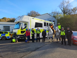 Police campaign to make roads safer for horses and their riders