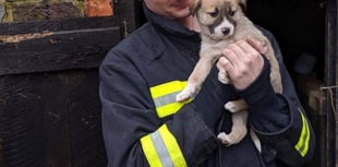 Celebrations for fire fighter after passing assessment