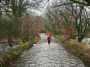 Deep Dive: Are Cornwall's roads fit for purpose?