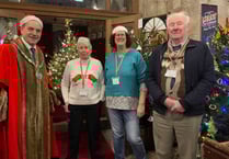 Christmas spirits heighten in Holsworthy as its tree festival sparkles