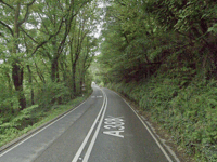 Launceston driver arrested after crashing into tree