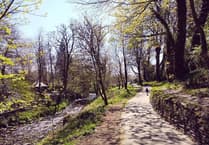 Camelford Town Council appeals to residents after Enfield Park 'vandalism'