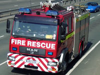Firefighters rescue horse trapped in stable door  