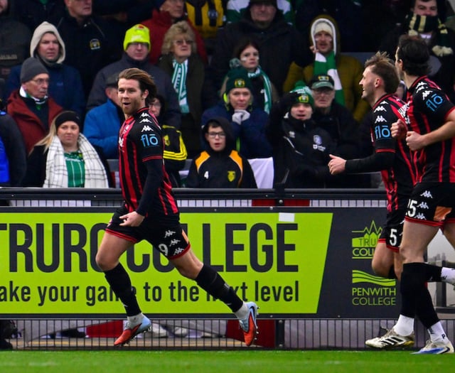 Harvey's close-range finish gives Tinners priceless win over Yeovil