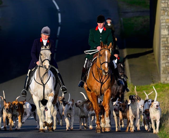 Hunts continue tradition despite looming government ban