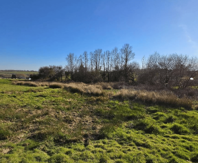 Objections to proposed Bridgerule housing plan