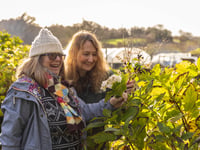 Eden Project unveils plan to boost mental health through nature