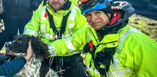 Coastguard heroes rescue dog stranded on 100-foot cliff