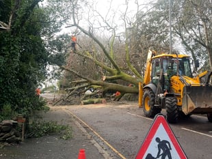 Why digital landlines failed in Storm Goretti