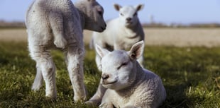 Farmers battling  ‘a perfect storm’ of nutritional challenges