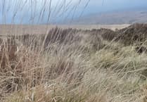 Walker finds missile on Willsworthy firing range