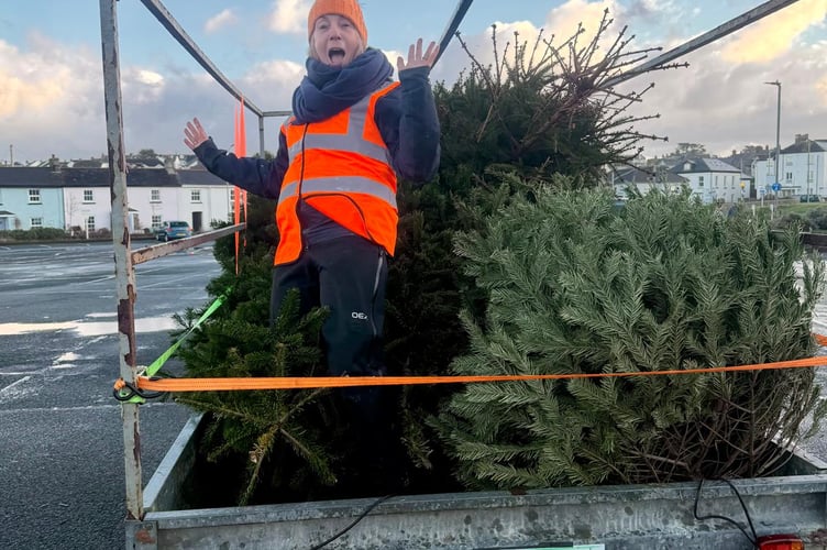Talan's Trust Bude Christmas Tree Collection