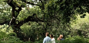 Bodmin Moor project is celebrated on global stage