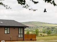 Major investment planned as Cornish holiday parks change hands