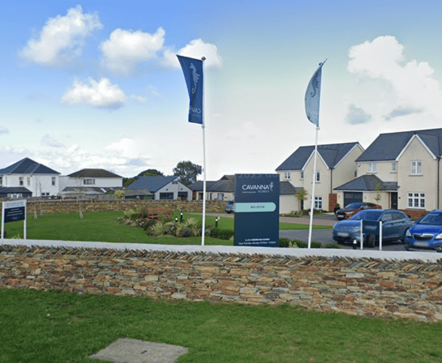 Housebuilder submits amended plans for 260 home development