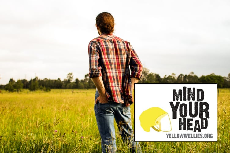 Mind Your Head Farming Campaign