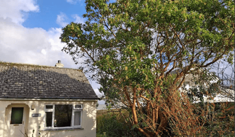 Planning: Houses could be built in location with 'unprotected' NDP