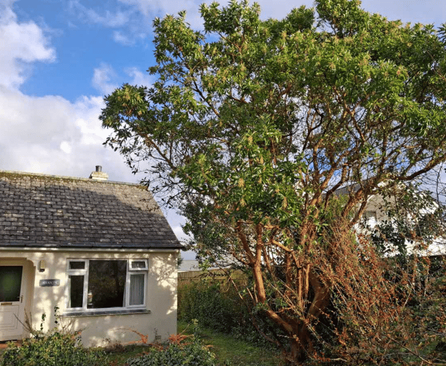 Planning: Houses could be built in location with 'unprotected' NDP