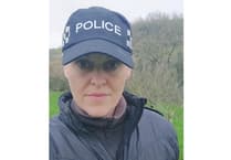 Investigation after dog abandoned on moorland in Cornwall