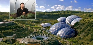 Garden landscape design graduate recognised in national awards 