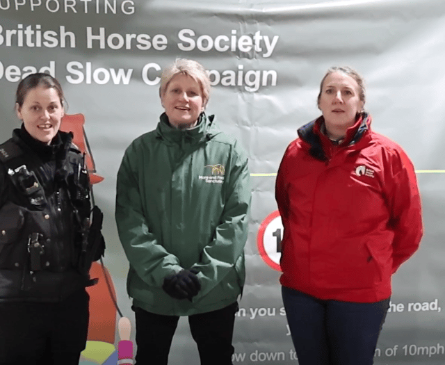 Sanctuary plays host to police campaign on horse safety