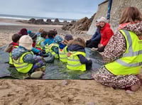 Local pupils help reduce beach pollution in North Cornwall