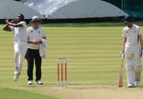 Trees snap up West Indian all-rounder Ashby for new campaign