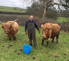 Farmer found 'utter carnage' after cow chased to its death by dog