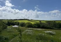 North Cornwall natural burial ground scoops award for second year in a row