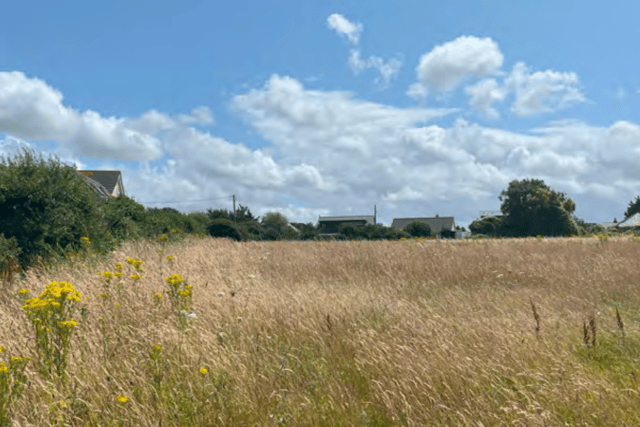 Proposals for 49 homes in coastal village submitted 